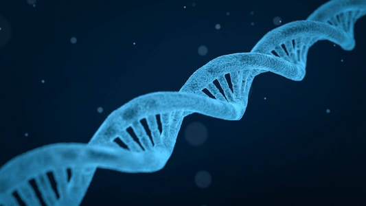 《Longevity and Healthy Aging White Paper - BalanceGenics》 Serial 1: The Relationship Between Aging and Diseases