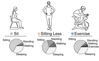 BalanceGenics Physical Therapy Exercises - How100.com